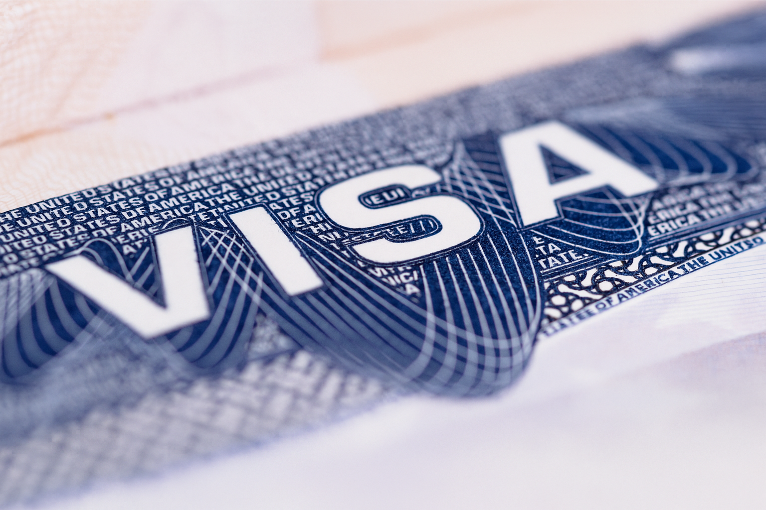 UAE Visa Services